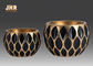 Les pots de fleur géométriques décoratifs de fibre de verre de modèle avec de l'or ont poussé des feuilles finition