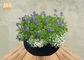 Planteurs extérieurs ronds de Fiberclay de pot de planteur d'argile de fleur de couleur grise noire blanche imperméable de pots