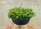 Planteurs extérieurs ronds de Fiberclay de pot de planteur d'argile de fleur de couleur grise noire blanche imperméable de pots