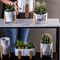 Les pots de Clay Flower Pots Cement Plant de planteurs de Mini Succulents Pot Planters Tabletop marbrent des planteurs