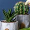 Les planteurs ronds de Succulents de ciment de Mini Flowerpots Clay Flower Pots de planteurs de pot marbrent les planteurs de table de pots