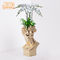 Temps 35x35x57.4cm résistants Clay Flower Pots For Balcony