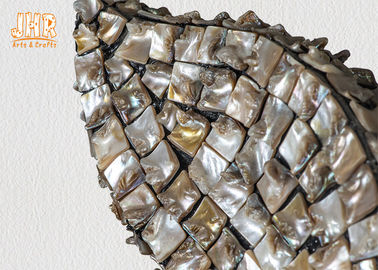Apple a formé le miroir de mur de fibre de verre avec les articles à la maison de décor encadrés par coquillage