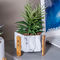 Vases de marbre à Tableau de ciment de pots d'usine de Succulents d'articles de décoration de Homewares de pots de fleur de cactus de finition