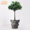 Bureau 44.5x42x37.5cm Clay Pots For Plants décoratif